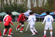 第47回全日本U-12サッカー選手権新潟県大会の様子