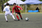 第47回全日本U-12サッカー選手権新潟県大会の様子