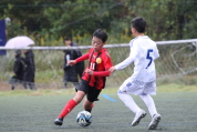 第47回全日本U-12サッカー選手権新潟県大会の様子