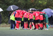 第47回全日本U-12サッカー選手権新潟県大会の様子