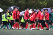 第47回全日本U-12サッカー選手権新潟県大会の様子