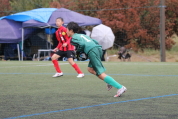 第47回全日本U-12サッカー選手権新潟県大会の様子