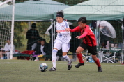 第47回全日本U-12サッカー選手権新潟県大会の様子