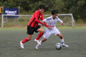 第47回全日本U-12サッカー選手権新潟県大会の様子