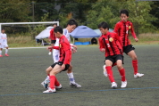 第47回全日本U-12サッカー選手権新潟県大会の様子