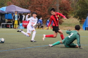 第47回全日本U-12サッカー選手権新潟県大会の様子