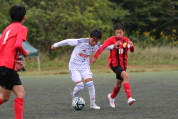 第47回全日本U-12サッカー選手権新潟県大会の様子