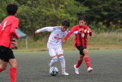 第47回全日本U-12サッカー選手権新潟県大会の様子