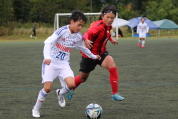 第47回全日本U-12サッカー選手権新潟県大会の様子