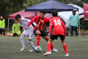 第47回全日本U-12サッカー選手権新潟県大会の様子