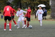 第47回全日本U-12サッカー選手権新潟県大会の様子