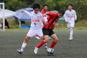 第47回全日本U-12サッカー選手権新潟県大会の様子