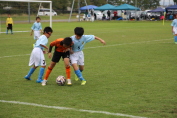 しんくみ杯2014
