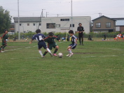 しんくみ杯2014