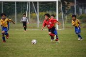 しんくみ杯2015