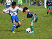 しんくみ杯2015