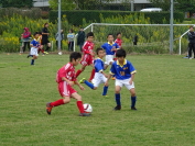 しんくみ杯2015