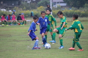 しんくみ杯2016