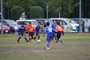 しんくみ杯2016