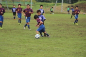 しんくみ杯2016