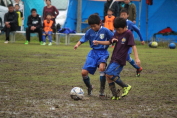 しんくみ杯2016