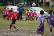 しんくみ杯2016