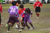 しんくみ杯2016