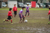 しんくみ杯2016