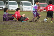 しんくみ杯2016