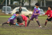 しんくみ杯2016