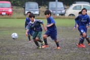 しんくみ杯2016