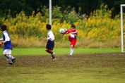 しんくみ杯2016