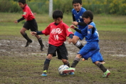 しんくみ杯2016