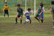 しんくみ杯2016