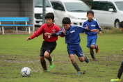 しんくみ杯2016