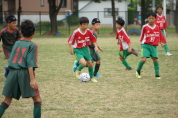 しんくみ杯2019