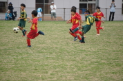 しんくみ杯2019