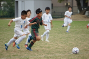 しんくみ杯2019