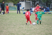 しんくみ杯2019