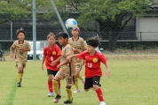 しんくみ杯2025